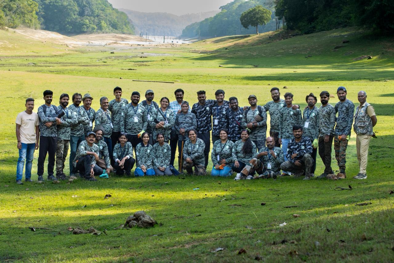 Forest restoration